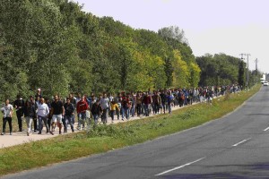 Po Nemčiji tudi Češka krepi nadzor na meji z Avstrijo