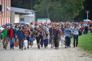 Proti Sloveniji val 4000 migrantov; policija je pripravljena, pravi ministrica