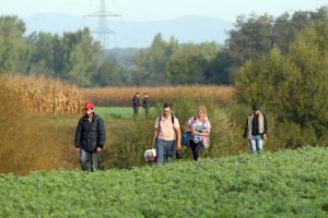 Slovenska karitas se pripravlja na morebiten drugi val beguncev