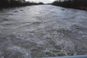 Krka se umirja, dosegla le severni del kostanjeviškega otoka