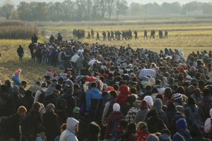 Med 300 do 500 tisoč migrantov skozi Slovenijo v naslednjem mesecu? Ogrožena varnost države.
