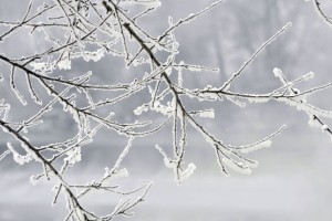 Novembrska nihanja: zjutraj minus 7, popoldne pa 21 stopinj