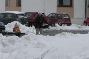 FOTO: Sneg pobelil tudi Ribnico in Kočevje
