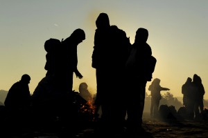 Migranti kradli v vrhniški trgovini