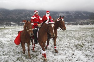 Na god sv. Štefana tradicionalni blagoslovi konj