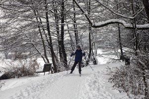 Na jugu države bosta danes možna tudi poledica in žled