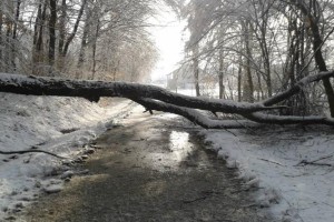 Sneg povzročil največ težav na cestah