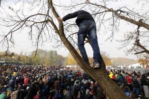 SDS in NSi zahtevata izredno sejo za preprečitev nadaljnjih negativnih posledic migrantske krize