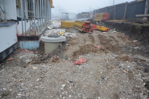Na gradbišče džamije znova odvrgli svinjsko glavo