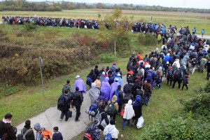 Za migrante na voljo 8145 mest, od tega trenutno okoli 570 za prosilce za azil 