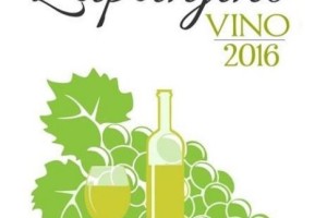 Županjino vino 2016 je rumeni muškat