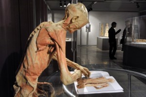 Oskrunjena človeška telesa spet na ogled v Ljubljani