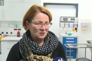 Direktorica šempetrske bolnišnice: Od devetih reanimacij pet uspešnih