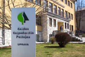 V GGP zavračajo odgovornost za izkoriščanje delavcev v Loški dolini