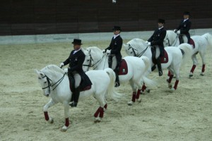 Lipica v novi podobi s premiero jahalne šole 