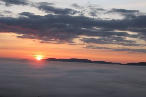 FOTO: Bela krajina v prebujanju