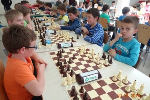 FOTO: Področno prvenstvo v šahu za namlajše