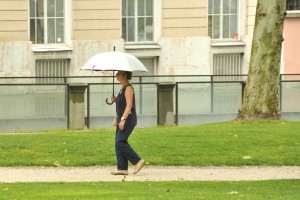 Vreme: Dopoldne delom sončno, nato padavine