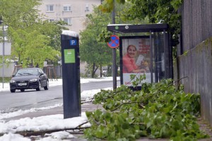 V Ljubljani bodo potrebovali mesec dni za odpravo posledic sneženja