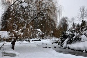 Sneg lomi drevje in mariborski parki so zaprti