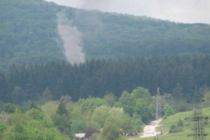 Miklič danes pri Irglovi, Mesojedec oster