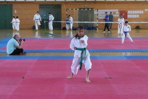 FOTO: Loškim in sevniškim karateistom na DP 8 medalj