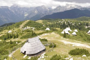 Pod Veliko planino bosta ovce pasla tudi Nuša Derenda in Frenk Nova