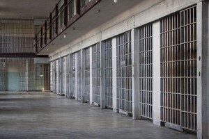 Ameriškemu džihadistu, ki se je želel pridružiti IS, 12 let zapora 