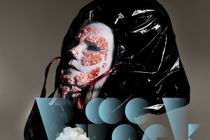 Björk bo kmalu izdala novi album