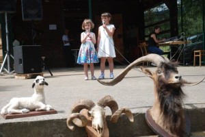 Belokranjski ovčerejci in kozjerejci se postavijo na ogled