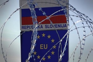 Na območjih Vinice in Podčetrtka dodatno odstranili žično ograjo s panelnih ograj