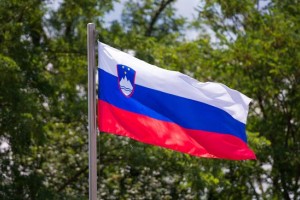 Škofi ob 25-letnici Slovenije: Usodo težko pridobljene države državljani nosimo v svojih rokah