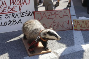 FOTO: Z nagačenim jazbecem in rdečimi zvezdami proti vladi: "Delat, ne cmerat!" 