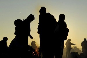 Med migranti je v Evropo doslej prispelo 17 džihadistov IS