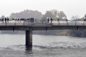 Radgona protipoplavne nasipe že gradi, Gornji Radgoni za zdaj le obljube