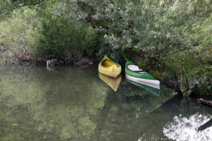Iz Kolpe pri Otoku potegnili utopljenca iz Črnomlja 