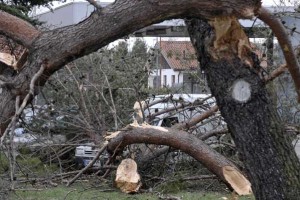 Na Dolenjskem močan veter podiral drevje, voda zalivala poslopja
