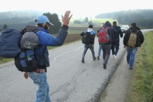 Noro! Migrantske posiljevalce označil za podgane, pa so ga obsodili zaradi sovražnega govora
