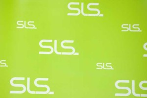 Zaradi Podobnikove izključitve je Zidanška zapustilo več vidnih članov SLS