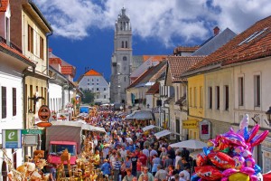 Gospodarska rast Ribnice
