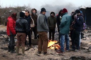 Ob "džungli" v Calaisu začeli graditi zid