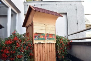 Bodo Cerarja in vlado pikale čebele?
