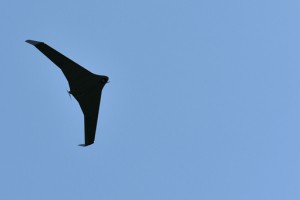 Slovenska vojska bo z brezpilotnim letalom iskala del strmoglavljenega letala