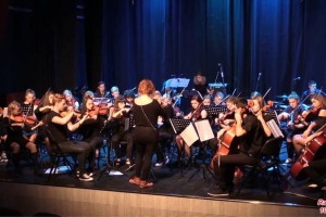 F&#38;V: Mladi glasbeniki Godalnega orkestra KD Stična z gosti v Straži