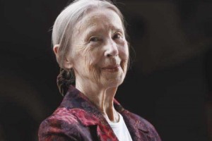 Vera Ban Janši in Berlecu: »Ena baba pravi«