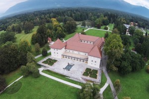 FOTO: Največ z denacionalizacijo zahtevajo Karađorđevići, Nadškofija Ljubljana...