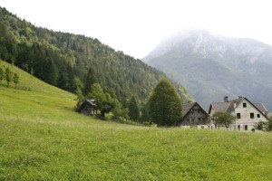 Slovenija mora vrniti skoraj milijon evrov kmetijskih evrov