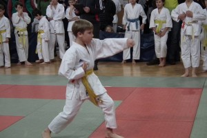 Foto: Božični karate turnir kimon 2016