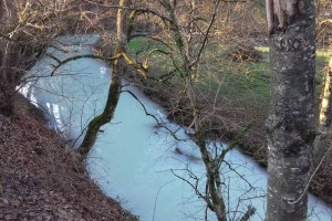 FOTO: Bršljinski potok zopet mlečno bele barve 