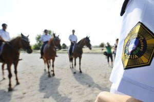 Policijska konja v Piranu velika atrakcija